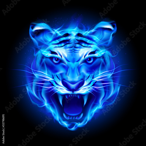 Head of fire tiger