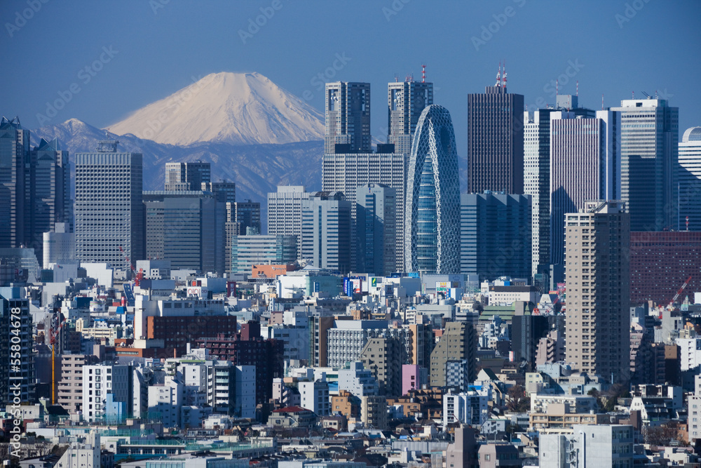 Naklejka premium 富士山と新宿の高層ビル群