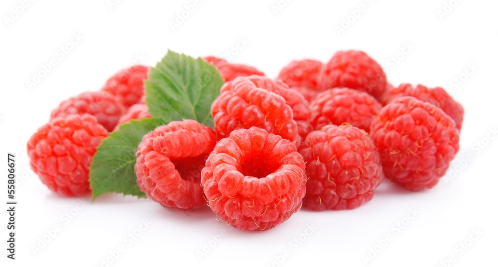 Ripe raspberries isolated Ripe raspberries isolated