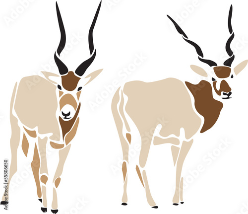 addax antelope