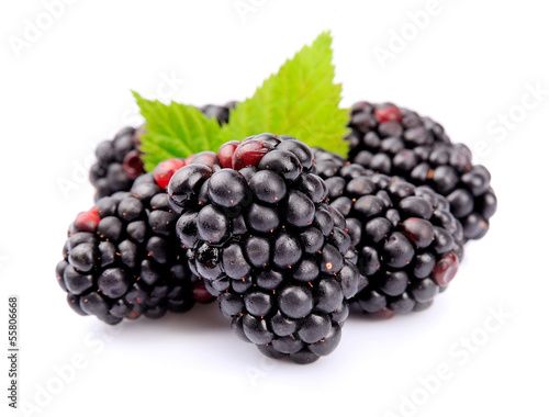 Blackberry fruit