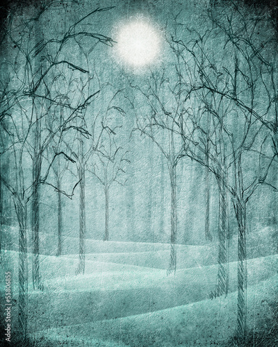 scary forest illustration