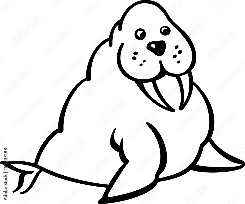 Walrus Walrus