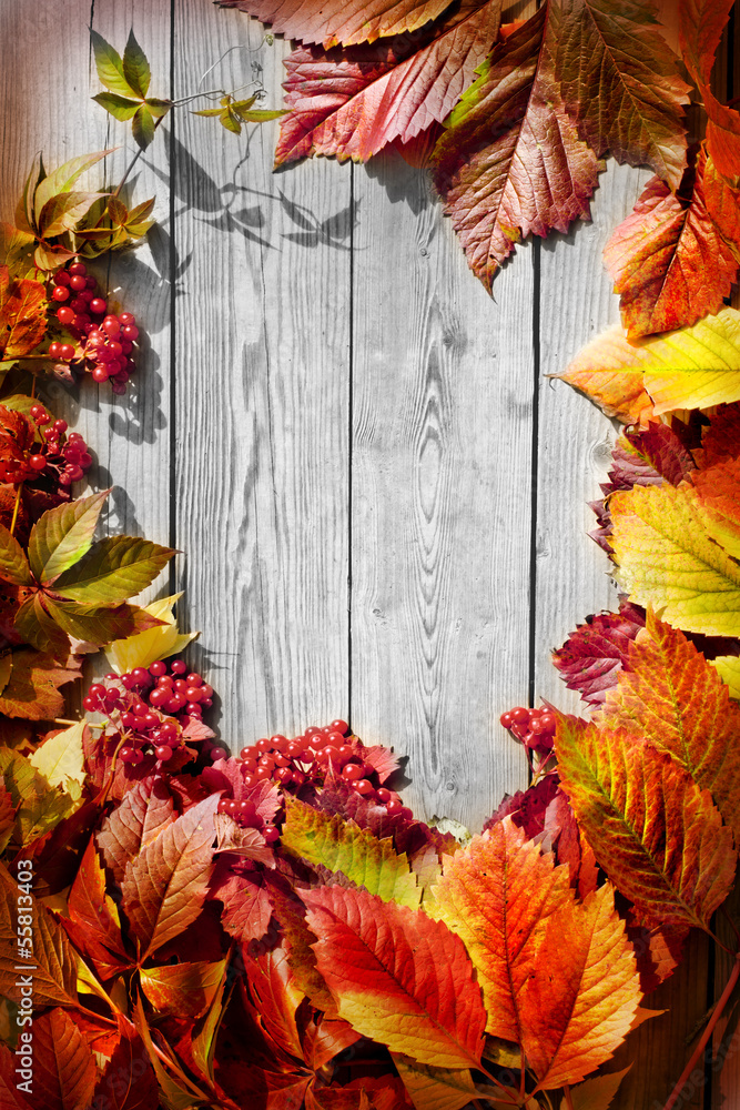 Obraz premium Autumn border from apples and fallen leaves on old wooden table