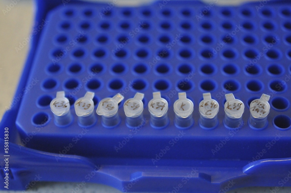 Naklejka premium In Genetic Lab