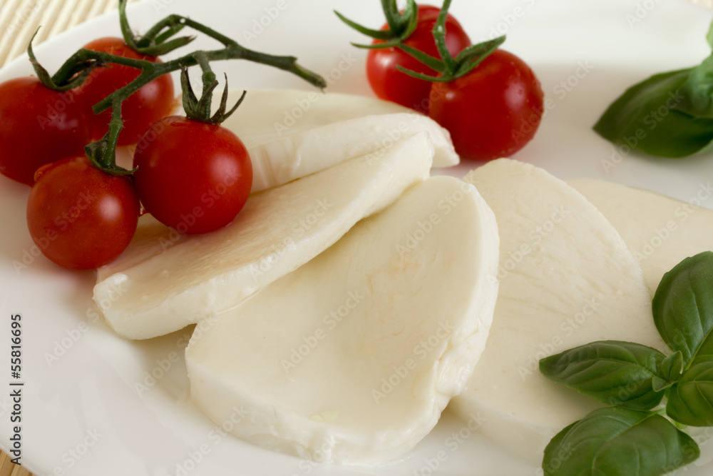 mozzarella tomato basil mozzarella tomato basil