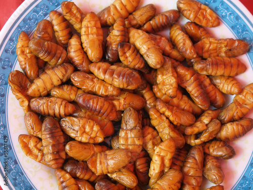 Dish of fried insects