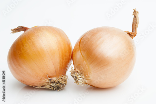 Two onions on a white background