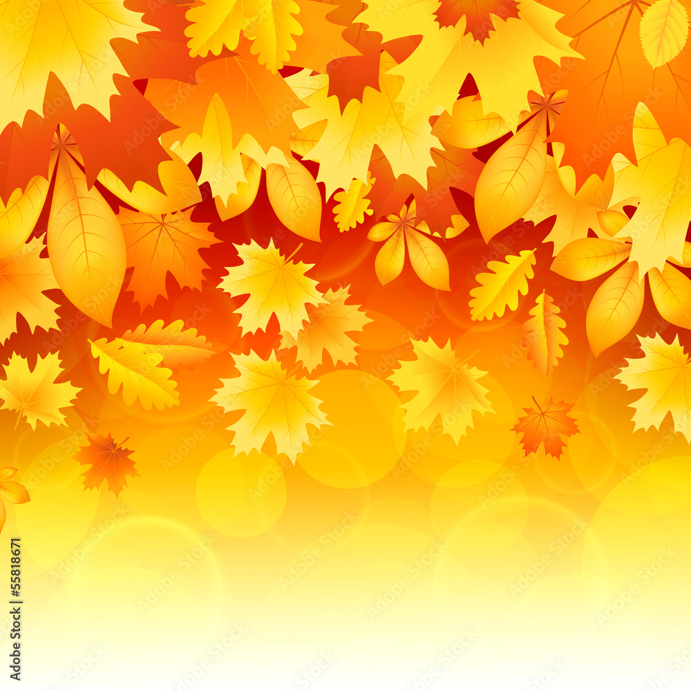 Obraz premium Background of leaves