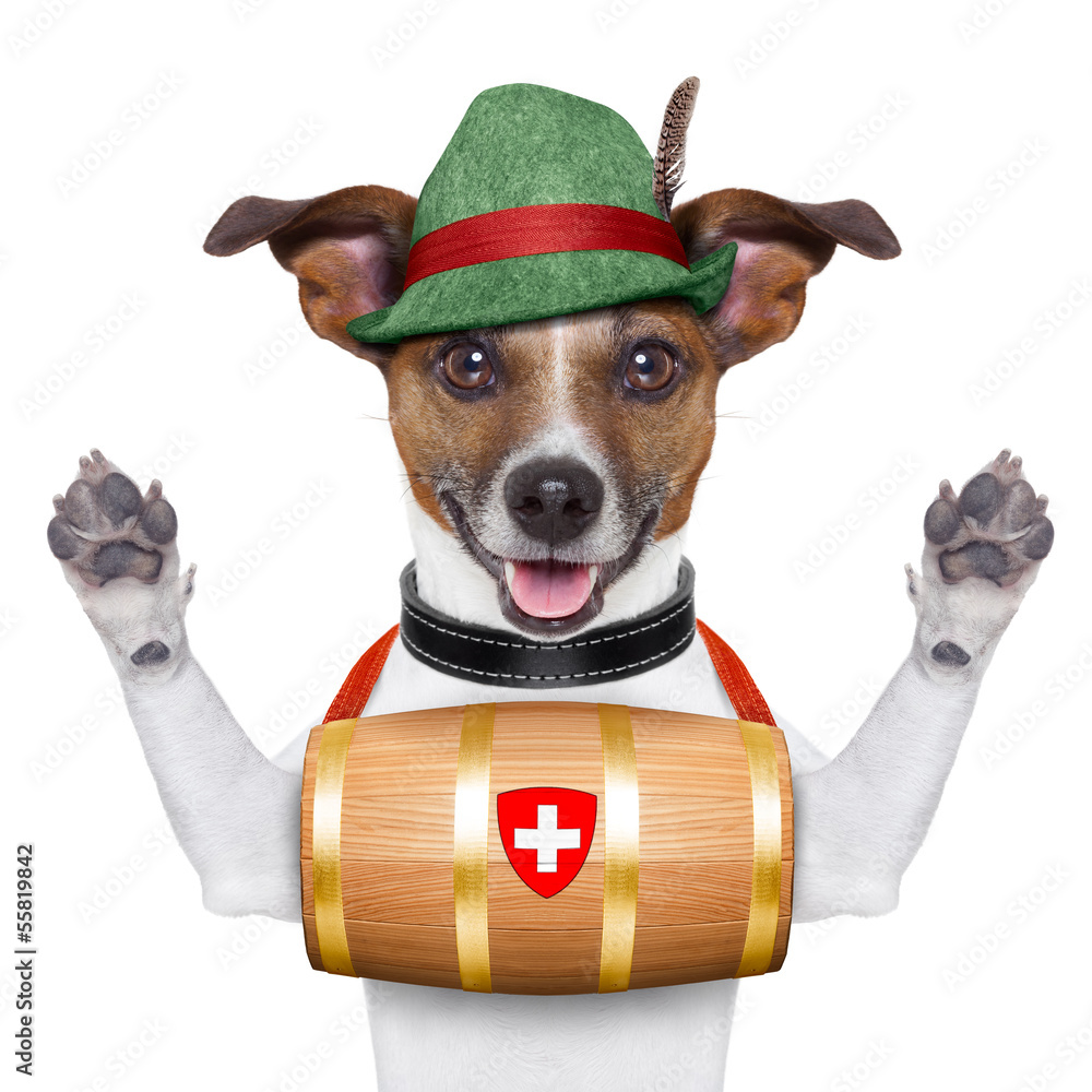 Rescue Dog Foto De Stock Adobe Stock just-for-those-who-dedicate-their-time-to-animal-rescue-charitypaws