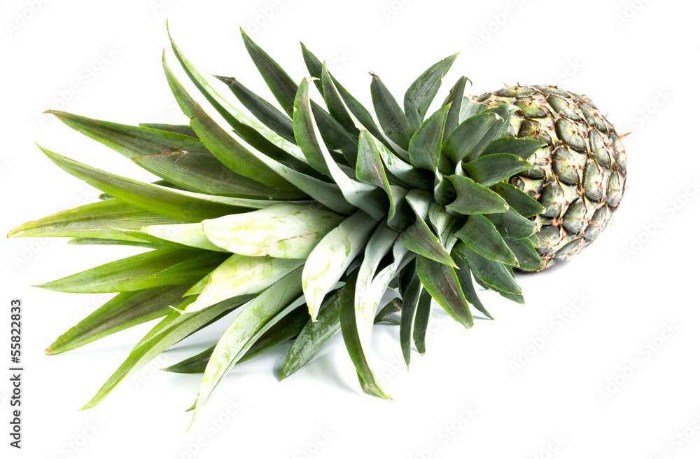 Pineapple on white background with clipping path Pineapple on white background with clipping path