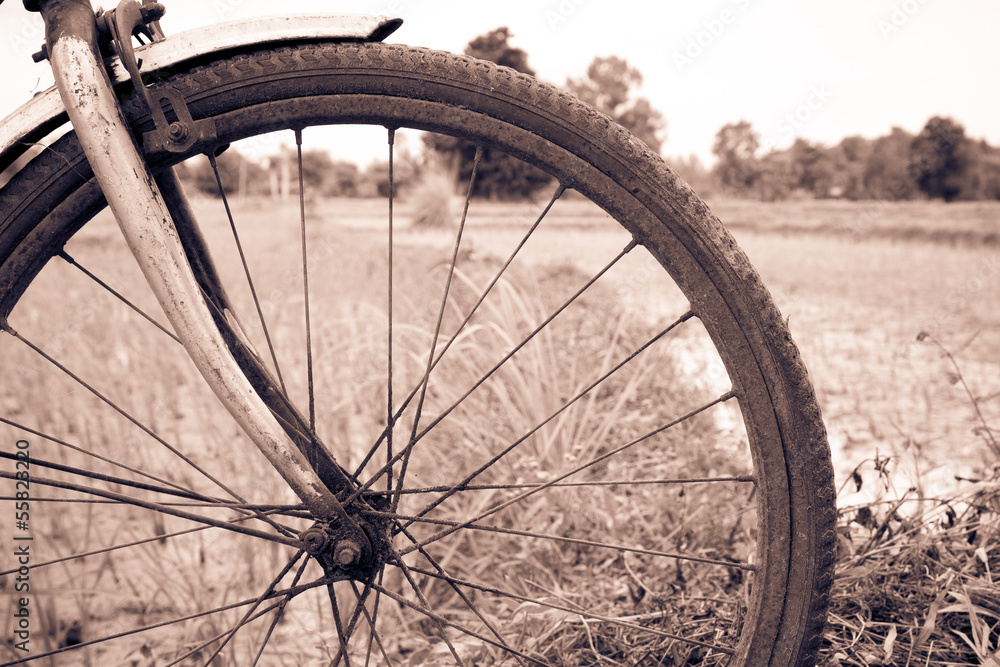 Naklejka premium Wheel bicycle