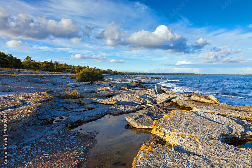 Rocky Coastline of Gotland