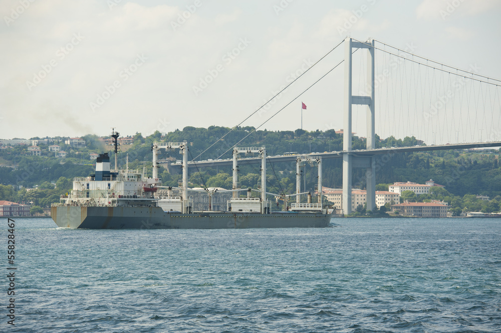 Large ship under a suspension bridge on river