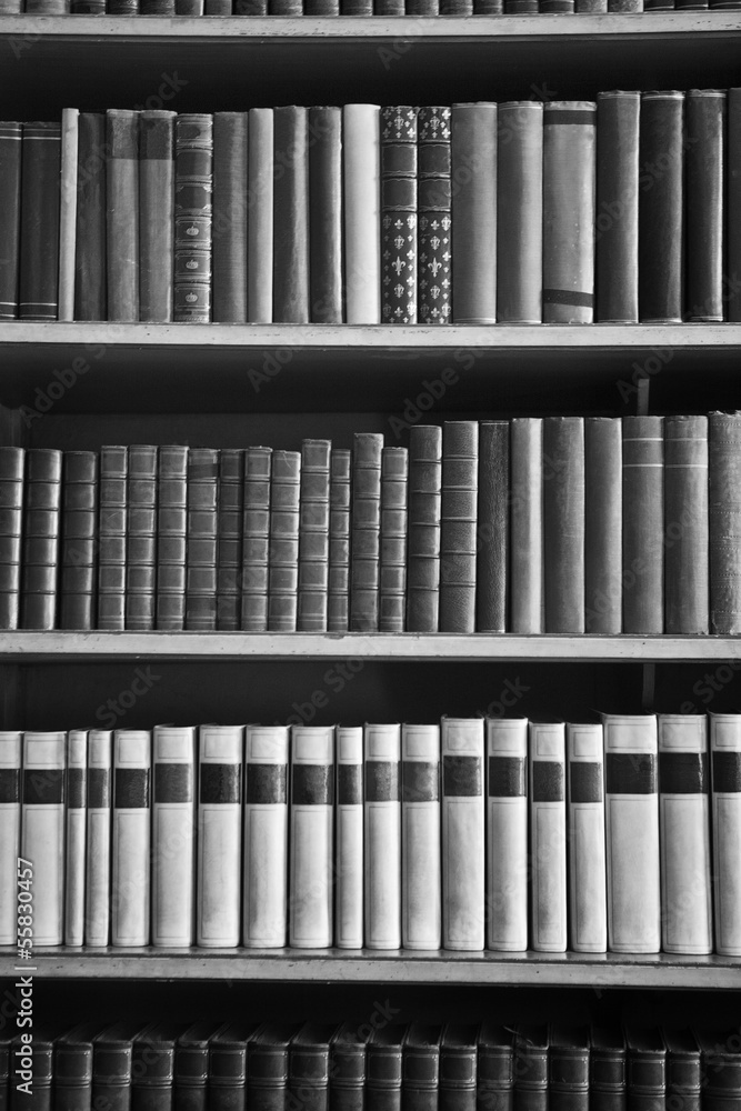 many books many books