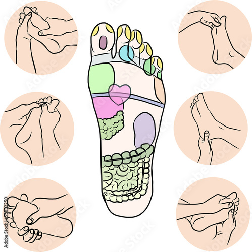 Hand draw Reflexology 