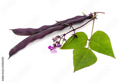 Red bean pods