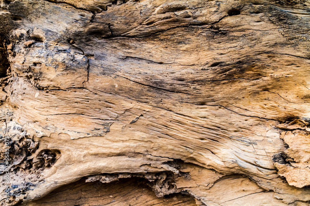 brown log wood texture