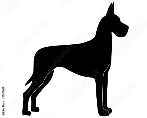 Dogge stehend schwarz