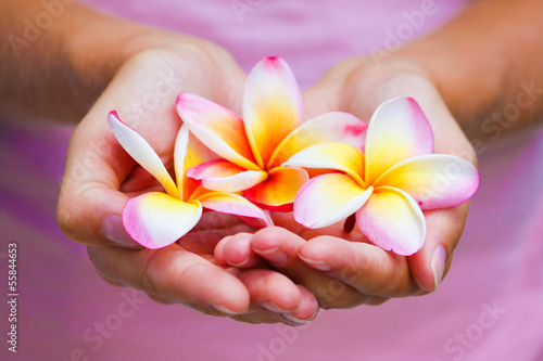 Handful of frangipanier's flowers