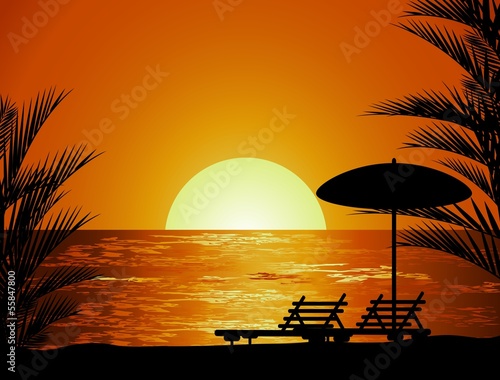 Beauty Sunset view in beach with palm tree