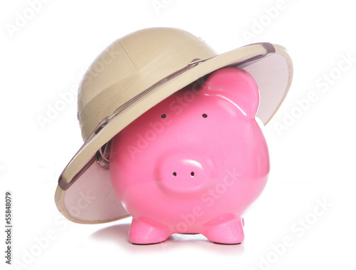 piggy bank wearing safari hat