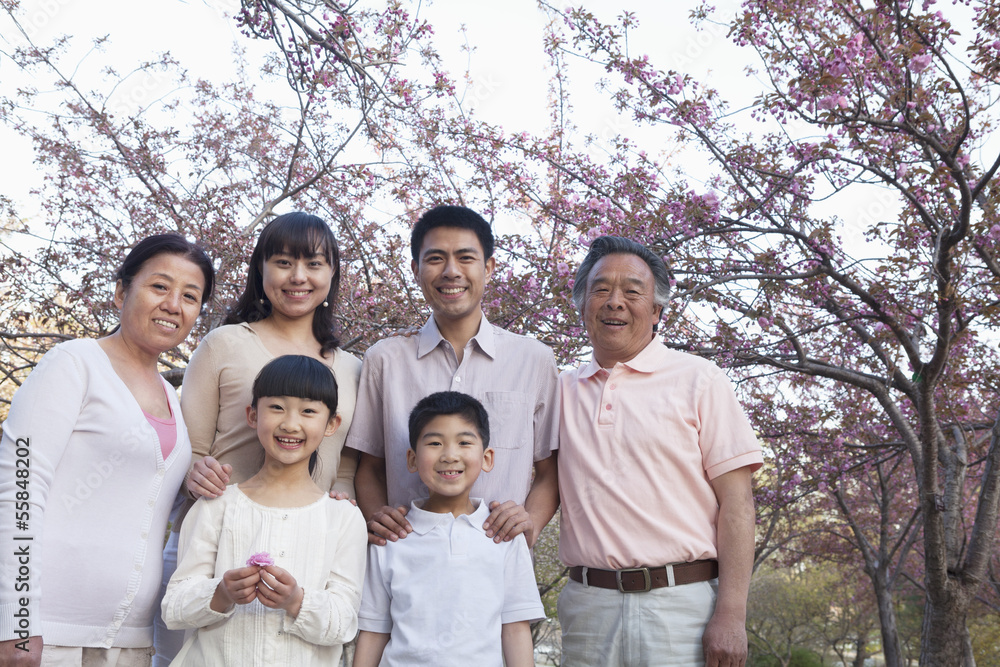 Portrait of a smiling multi-generational family amongst the cherry trees and enjoying the park in the springtime Portrait of a smiling multi-generational family amongst the cherry trees and enjoying the park in the springtime