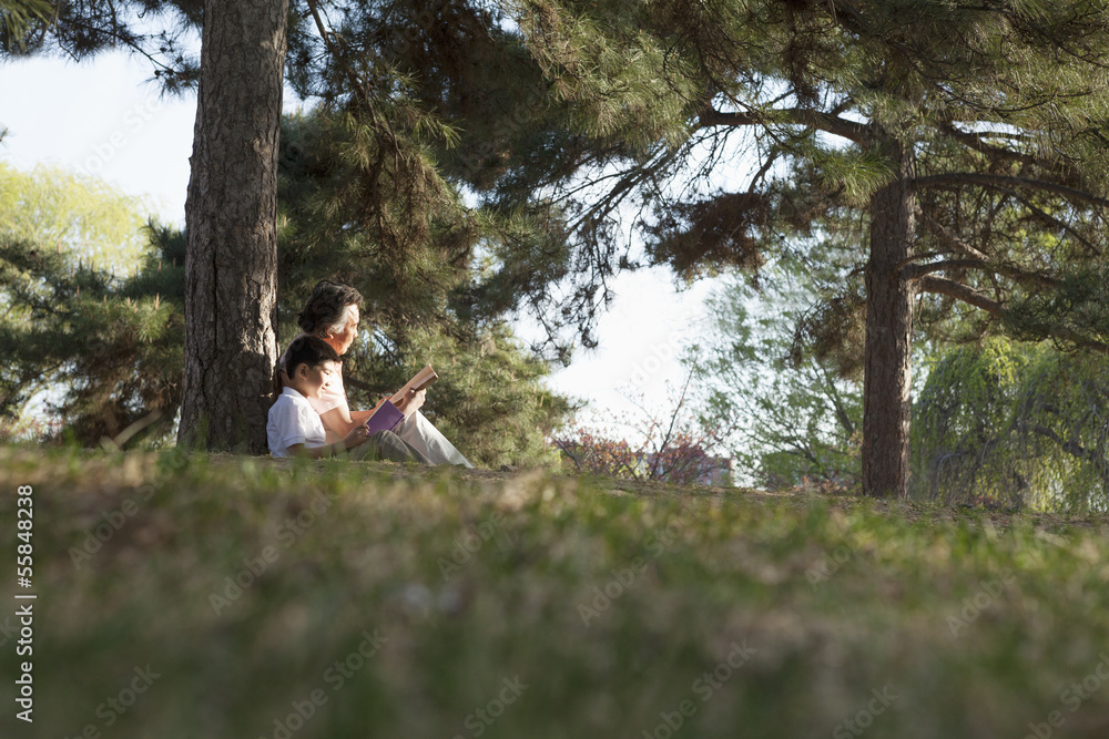 Grandfather and grandson relaxing under a tree and reading books in a park in the springtime, Beijing Grandfather and grandson relaxing under a tree and reading books in a park in the springtime, Beijing