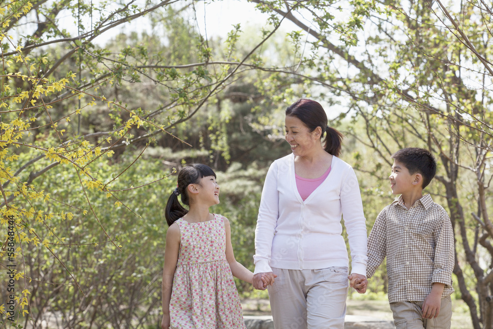 Grandmother holding hands with her two grandchildren and going for a walk in the park in springtime Grandmother holding hands with her two grandchildren and going for a walk in the park in springtime