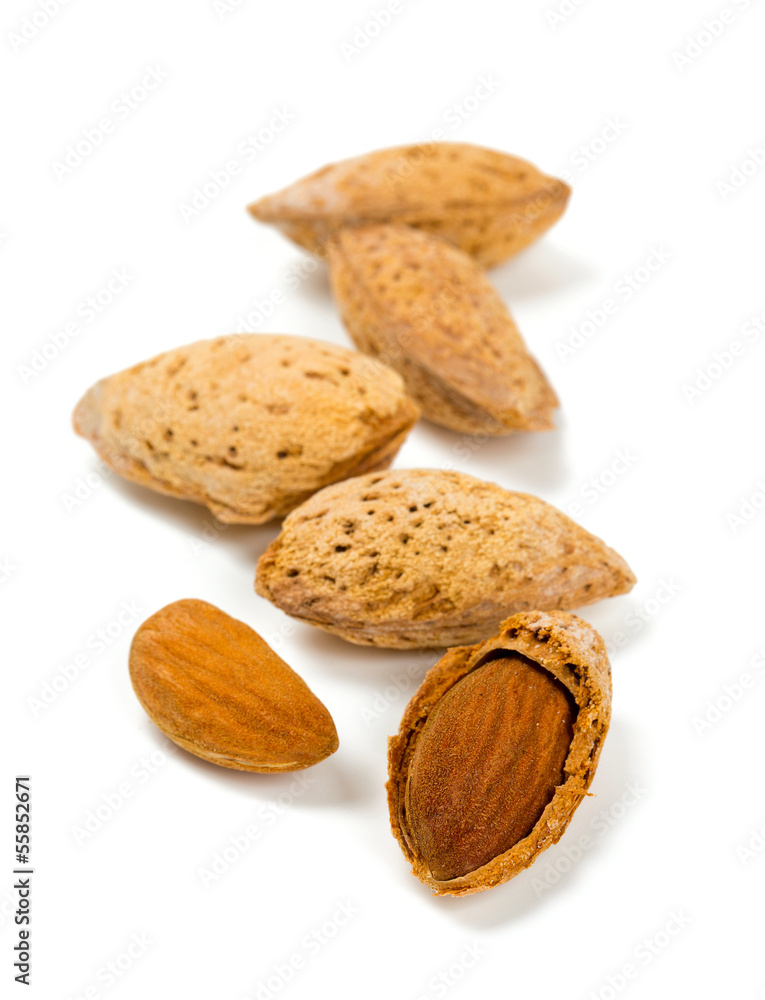 fresh almonds fresh almonds