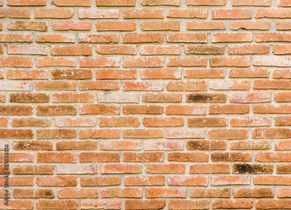 wall