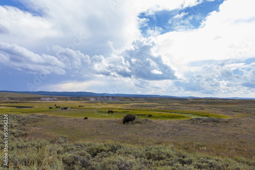  yellowstone national park