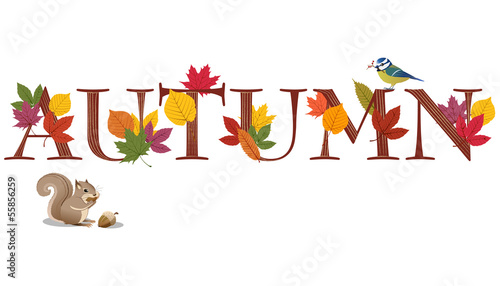 秋 テキスト 森の動物 AUTUMN text decorated with leaves, bird and squirrel
