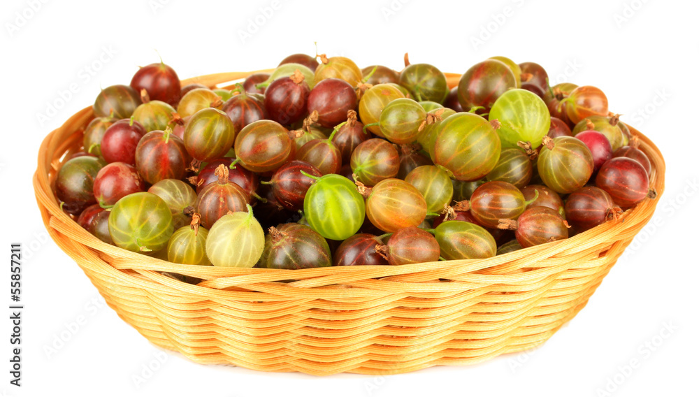 Fresh gooseberries in wicker basket isolated on white Fresh gooseberries in wicker basket isolated on white