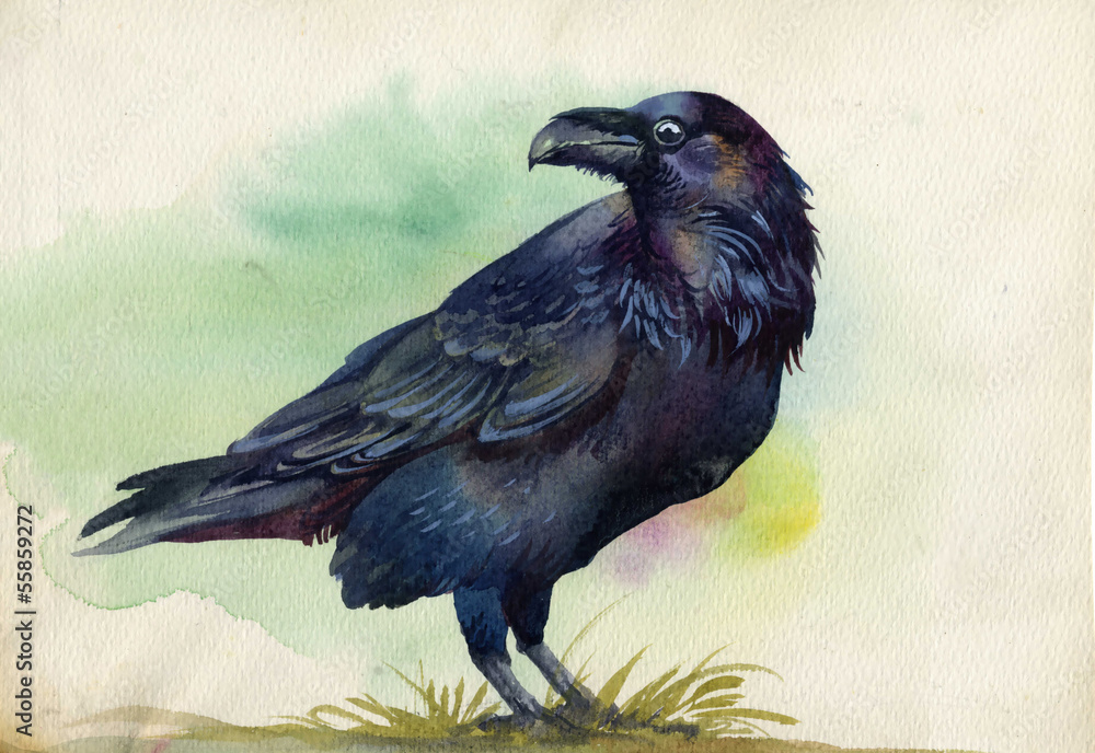 Obraz premium Black raven watercolor painting