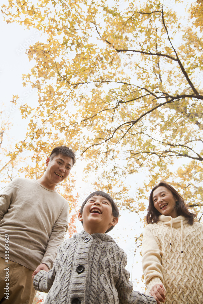 Family holding hands and walking through the park in the autumn, low angle view Family holding hands and walking through the park in the autumn, low angle view