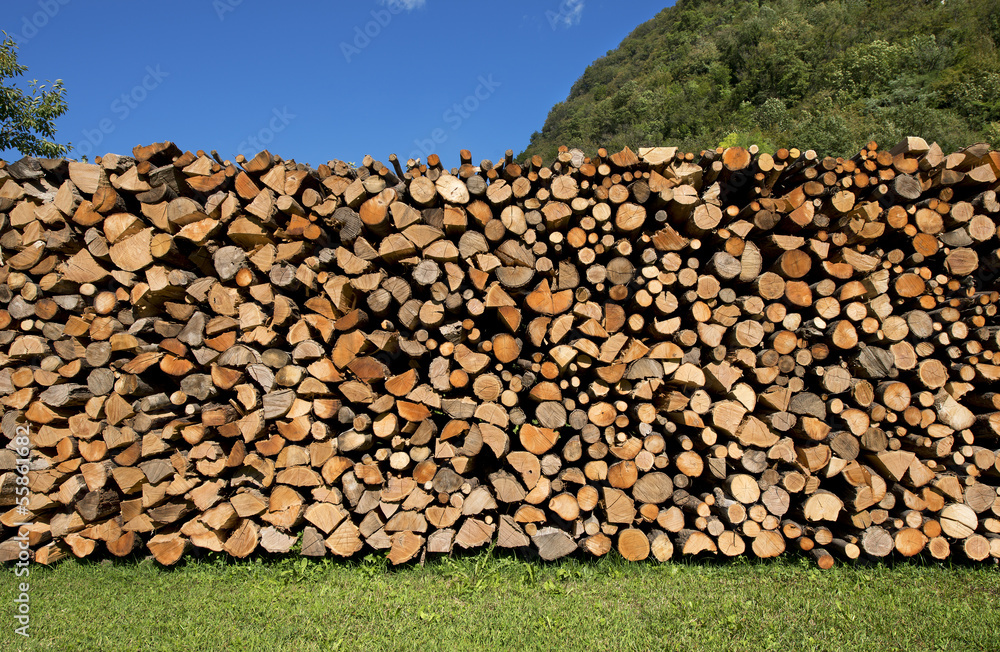 Pile of Chopped Firewood on Blue Sky