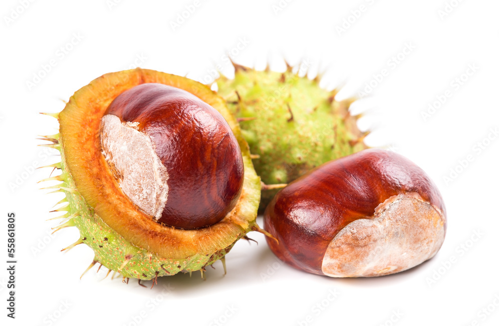 chestnuts with peel on a white background chestnuts with peel on a white background