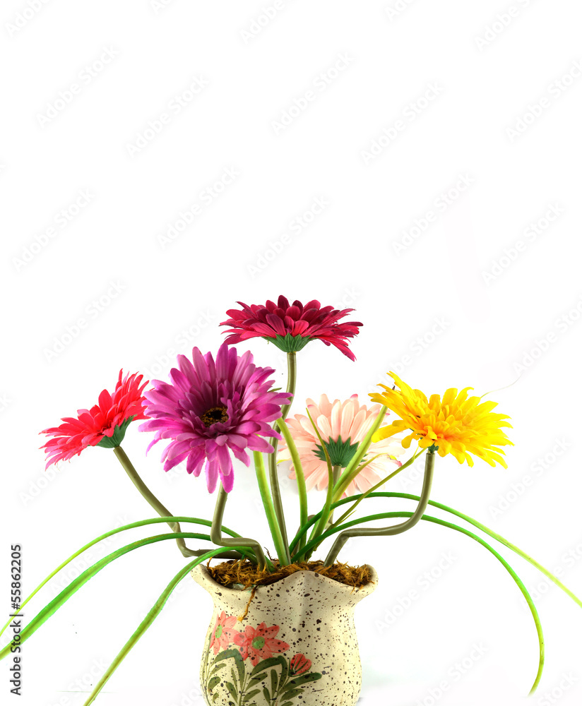 Multicolored flowers in a vase, isolated on white background