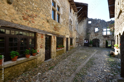 Fototapeta Naklejka Na Ścianę i Meble -  Cité médiévale de Pérouges.