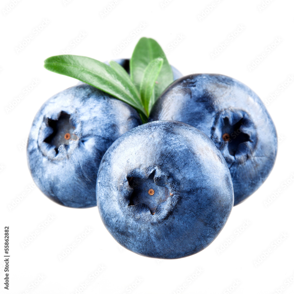 Obraz premium Blueberries isolated