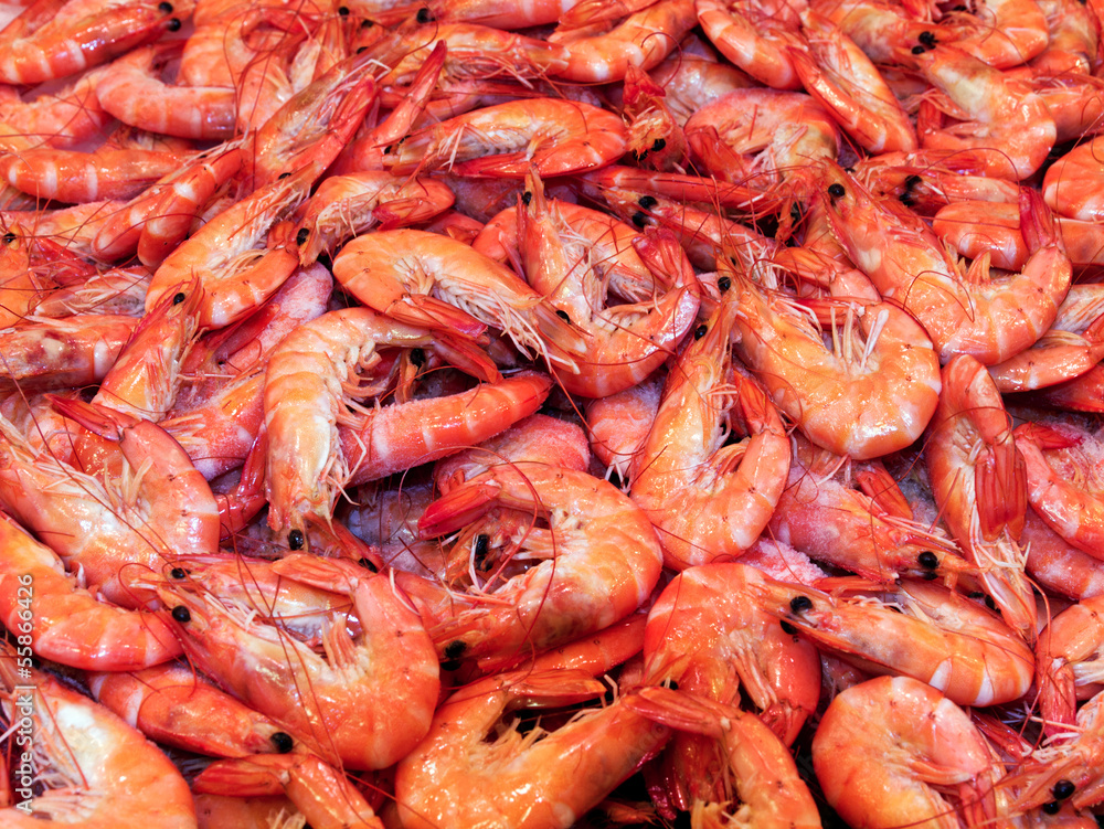prawn shrimps background