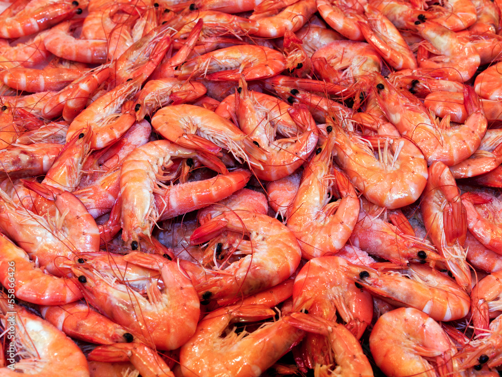 prawn shrimps background prawn shrimps background