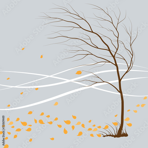 last_leaf