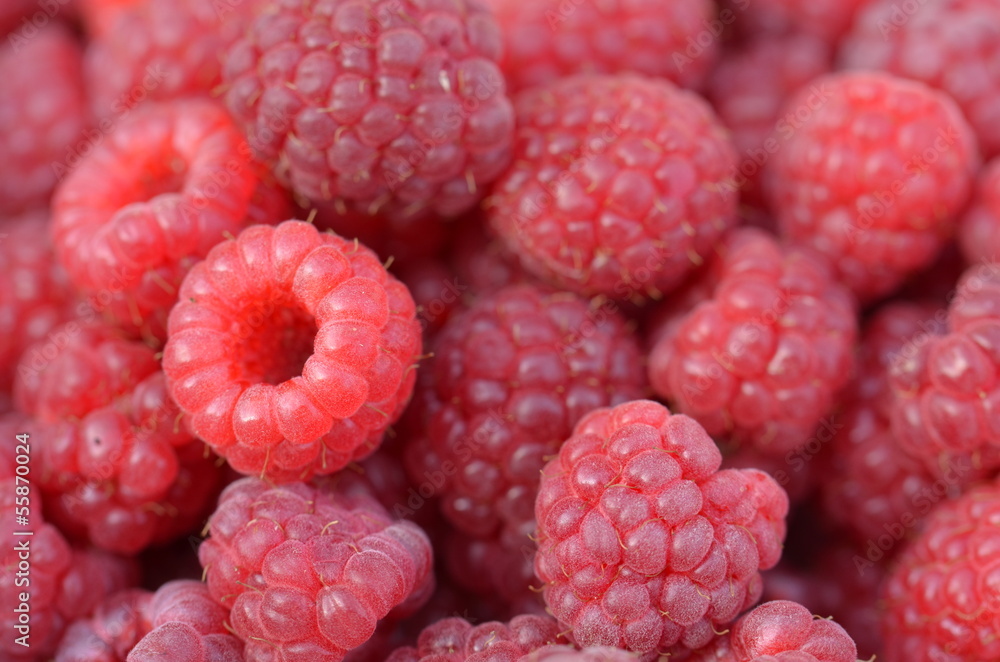 Himbeeren Himbeeren