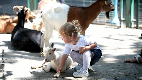 Sweet little girl in the zoo with goats