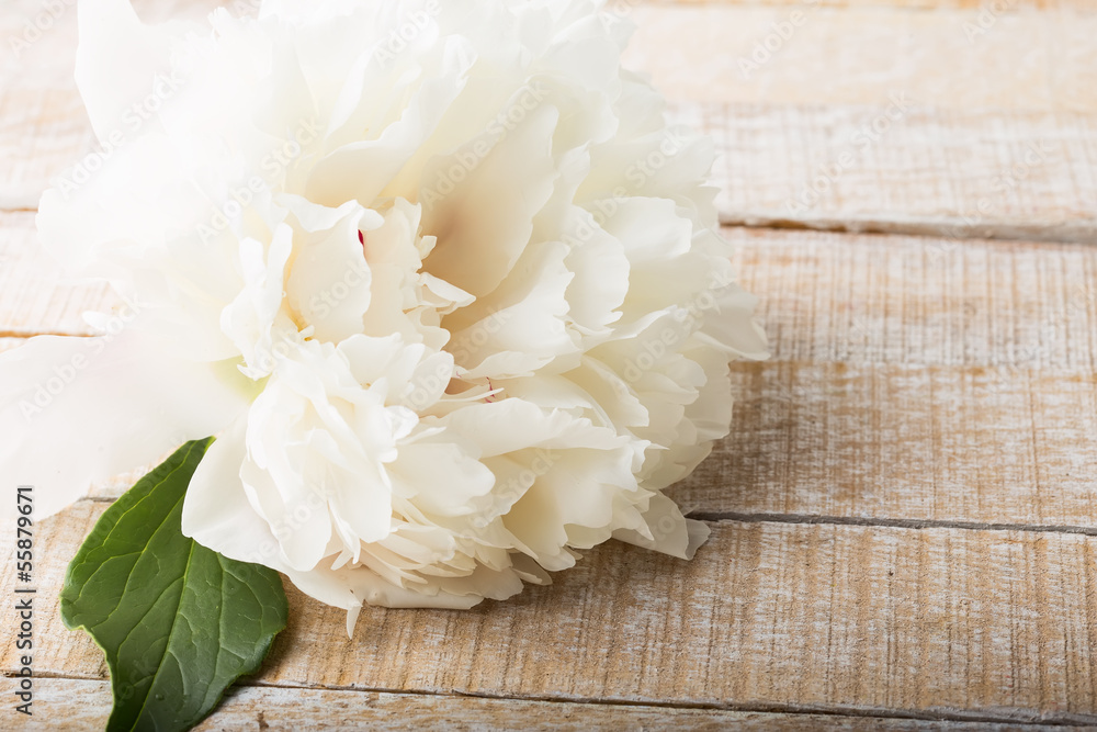 Postcard with elegant flowers Postcard with elegant flowers