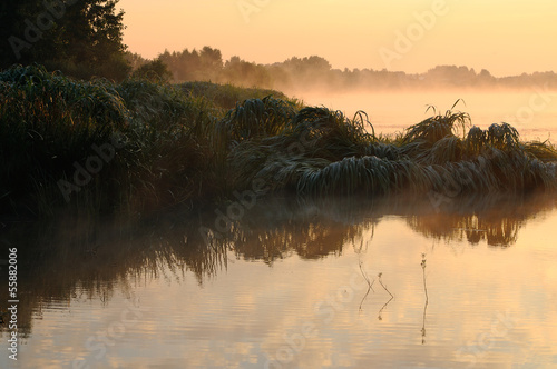 Dawn on the river