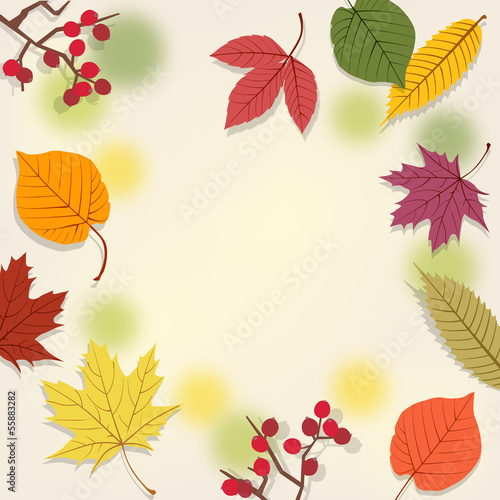 秋 落ち葉　フレーム 森 background with autumn leaves