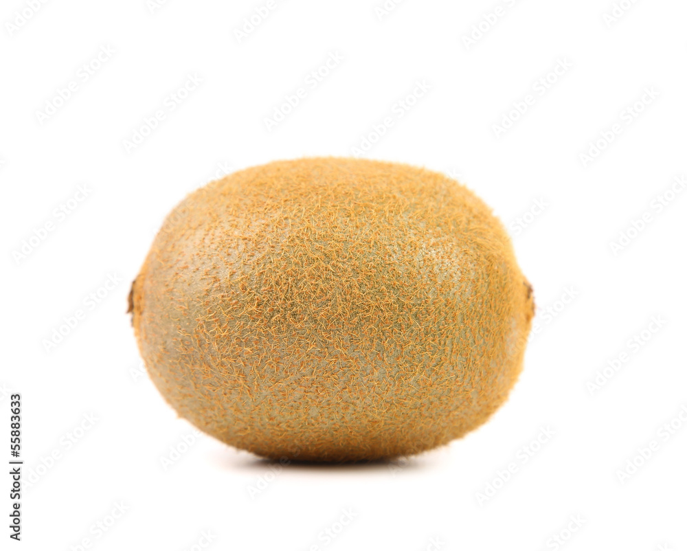 Kiwi fruit isolated on white background Kiwi fruit isolated on white background